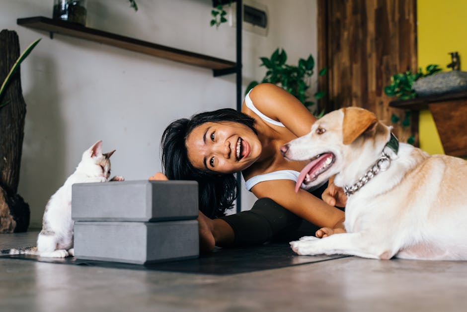 Bí quyết chọn thức ăn cho chó mèo: Đảm bảo 'boss' khỏe mạnh và hạnh phúc