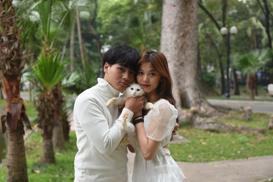 Chú mèo đang có biểu hiện lờ đờ, mệt mỏi