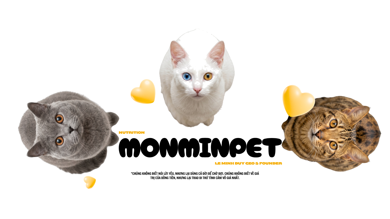 Monmin Pet — 3 chú mèo