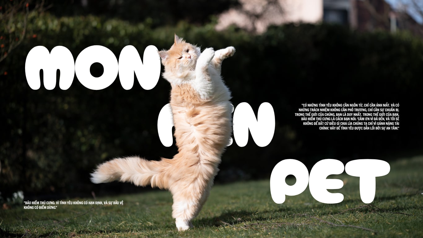Monmin Pet — pet vui khoẻ