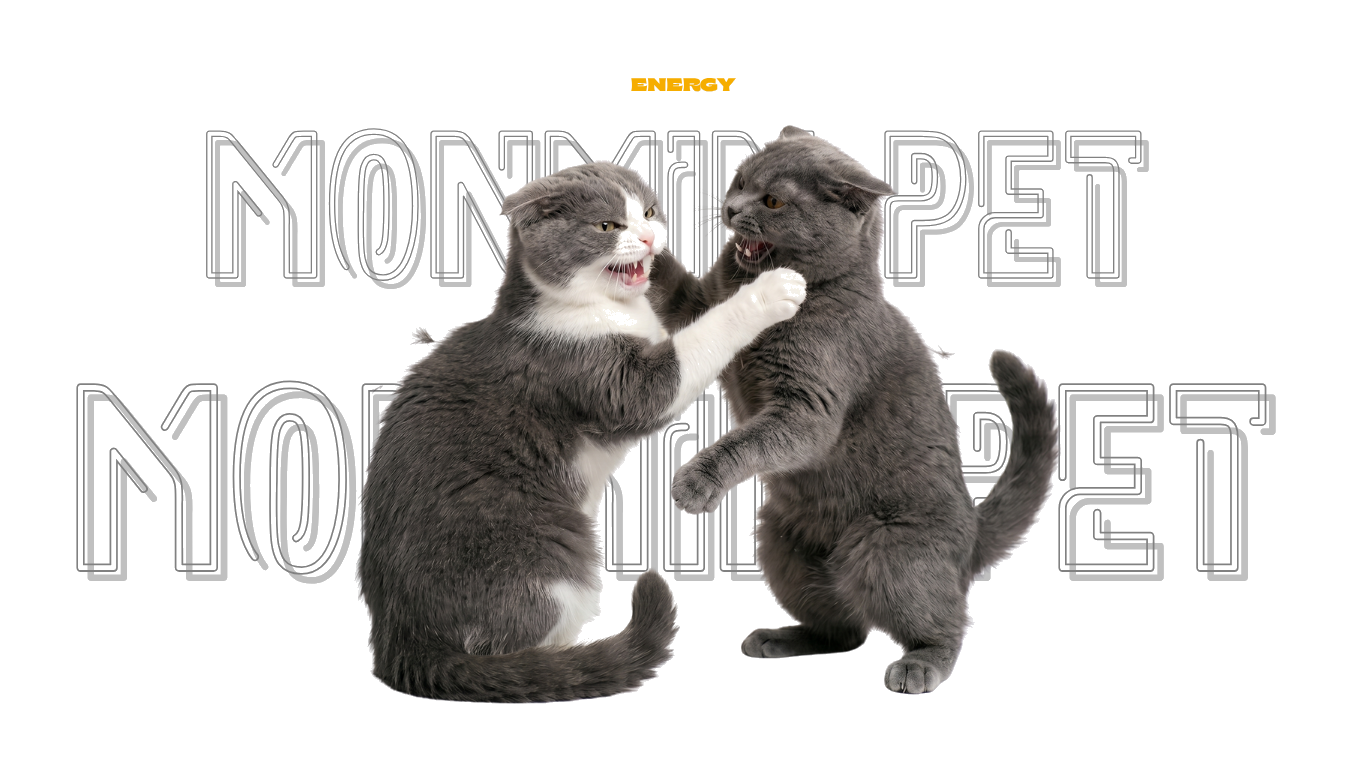 Monmin Pet — Energy