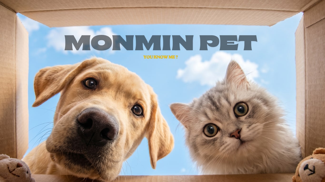 Dog & cat — đồng hành 24/7