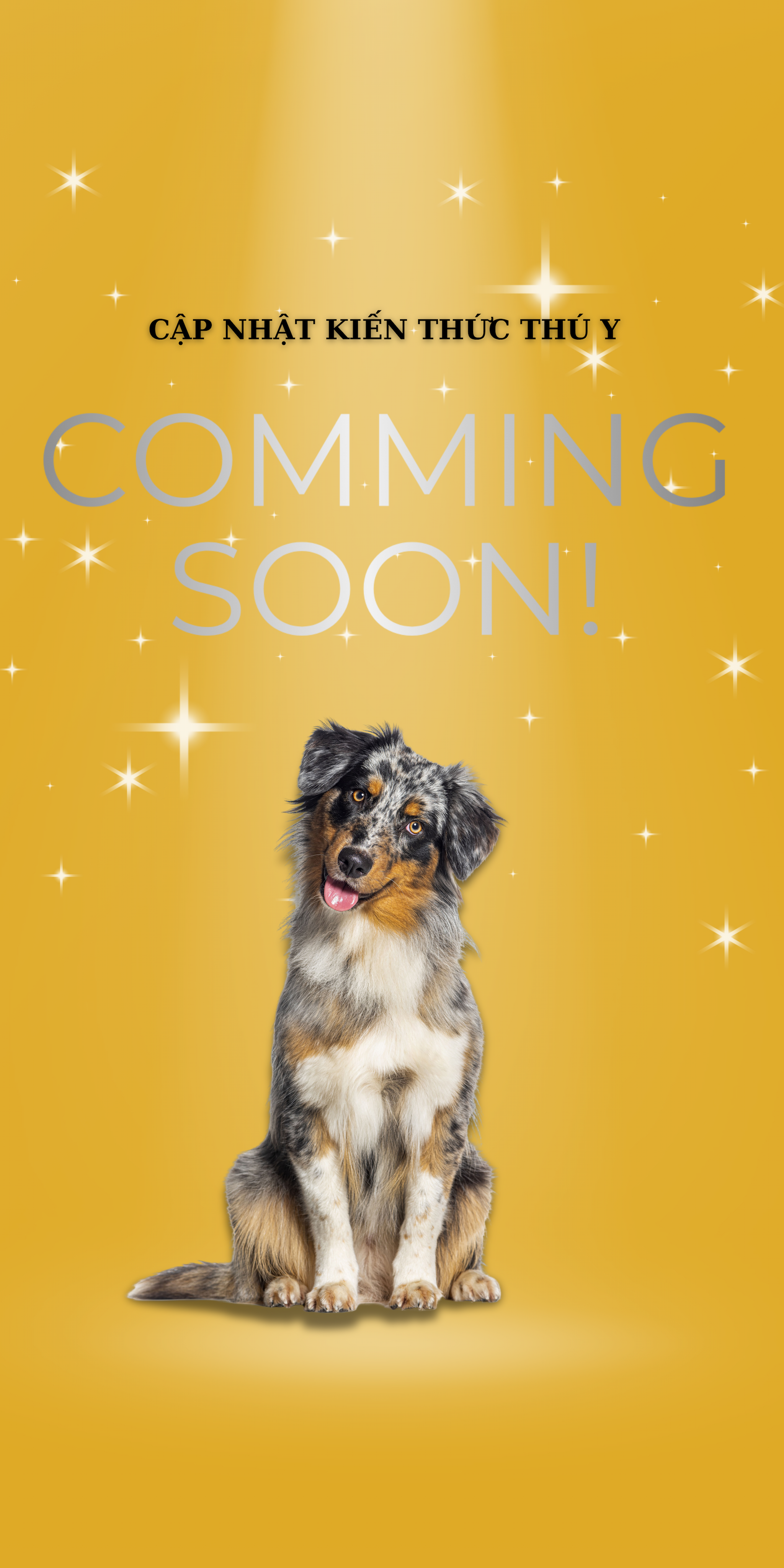 Coming Soon