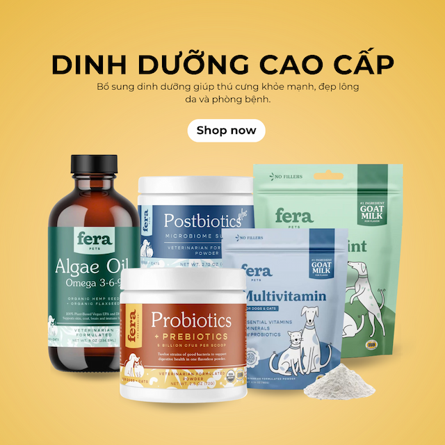 Icon Dinh dưỡng cao cấp
