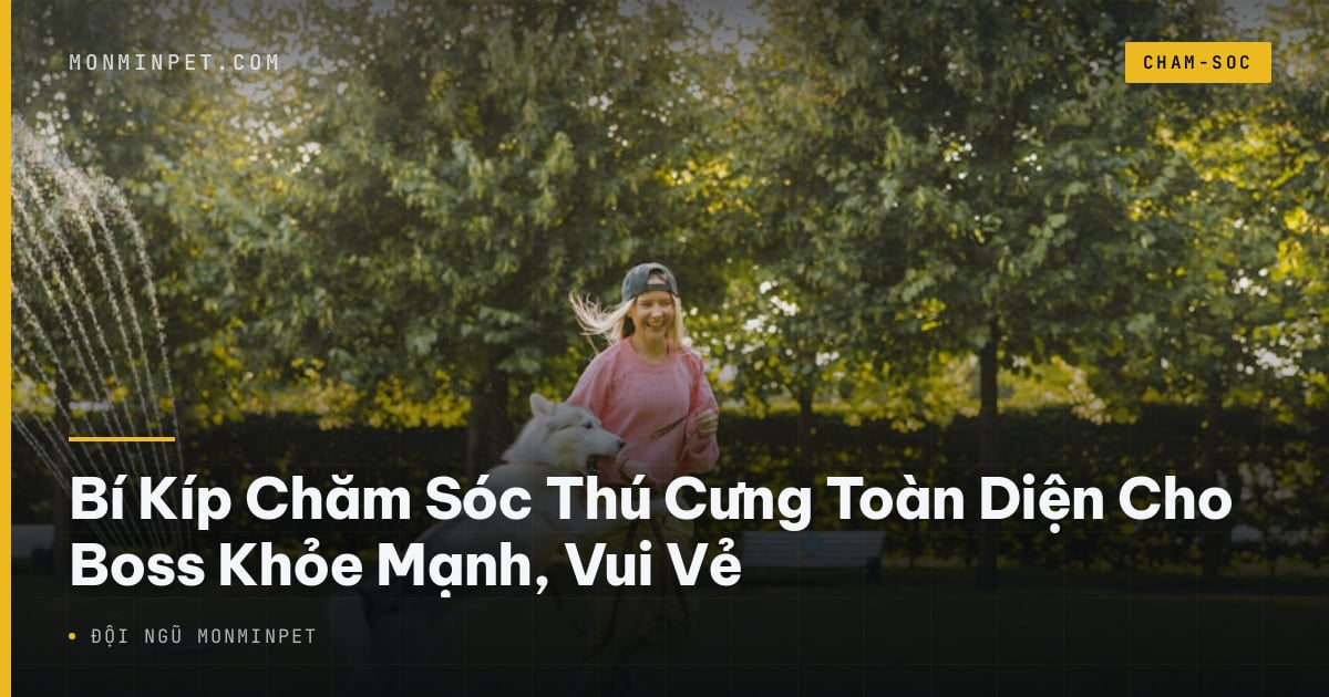 Bí Kíp Chăm Sóc Thú Cưng Toàn Diện Cho Boss Khỏe Mạnh