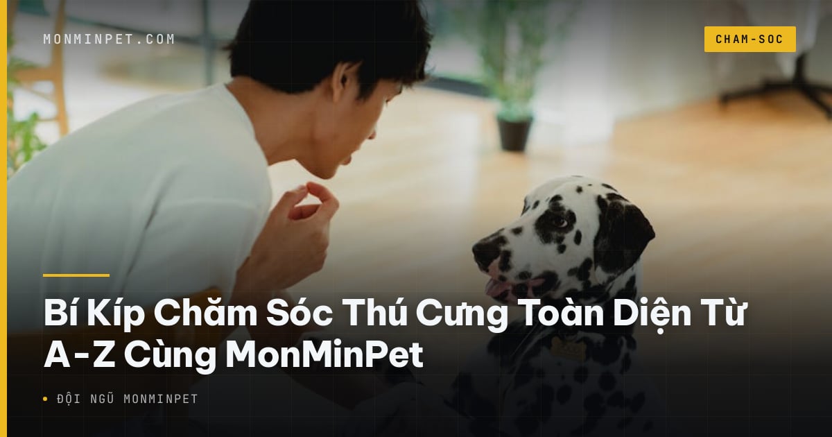 Bí Kíp Chăm Sóc Thú Cưng Toàn Diện Từ A-Z Cùng MonMinPet