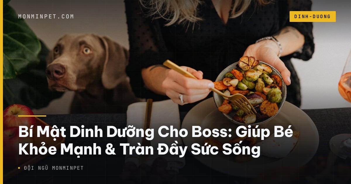 Bí Mật Dinh Dưỡng Cho Boss: Giúp Bé Khỏe Mạnh Mỗi Ngày