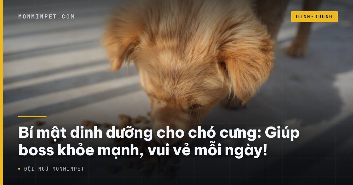 Bí mật dinh dưỡng cho chó cưng: Giúp boss khỏe mạnh