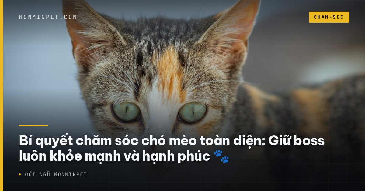 Bí quyết chăm sóc chó mèo toàn diện: Giữ boss luôn khỏe mạnh