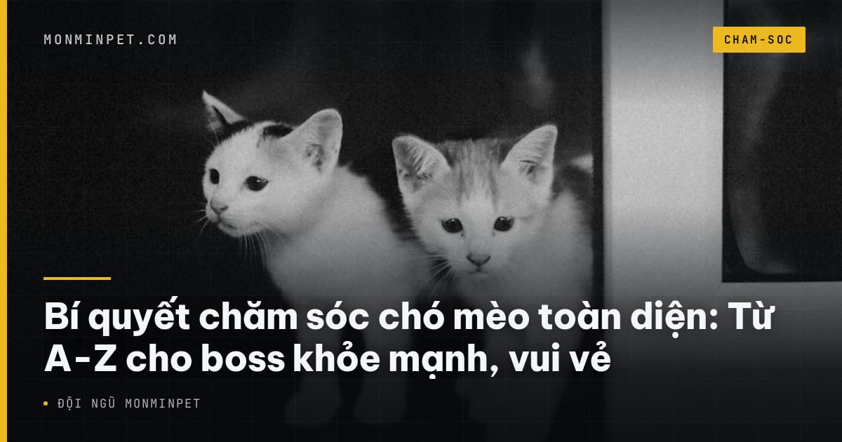 Bí quyết chăm sóc chó mèo toàn diện: Từ A-Z cho boss khỏe