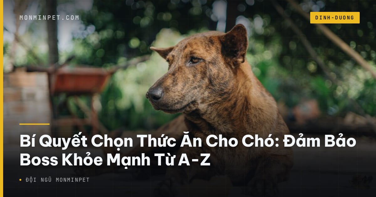 Bí Quyết Chọn Thức Ăn Cho Chó: Đảm Bảo Boss Khỏe Mạnh Từ A-Z