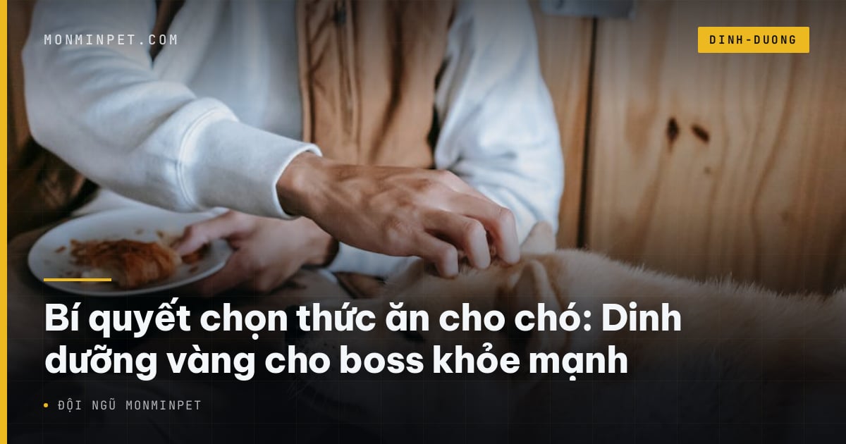 Bí quyết chọn thức ăn cho chó: Dinh dưỡng vàng cho boss