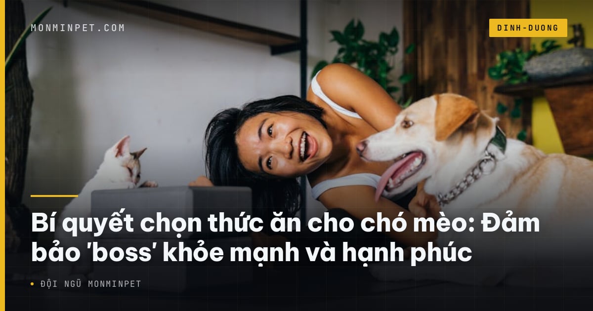 Bí quyết chọn thức ăn cho chó mèo: Đảm bảo 'boss' khỏe mạnh
