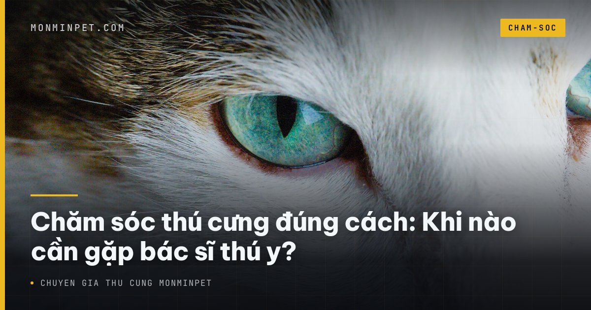 Chăm sóc thú cưng đúng cách: Khi nào cần gặp bác sĩ thú y?