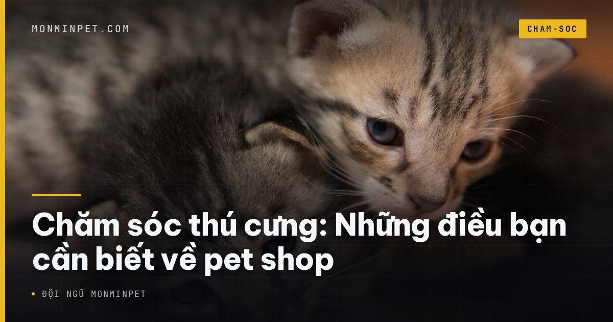 Chăm sóc thú cưng: Những điều bạn cần biết về pet shop