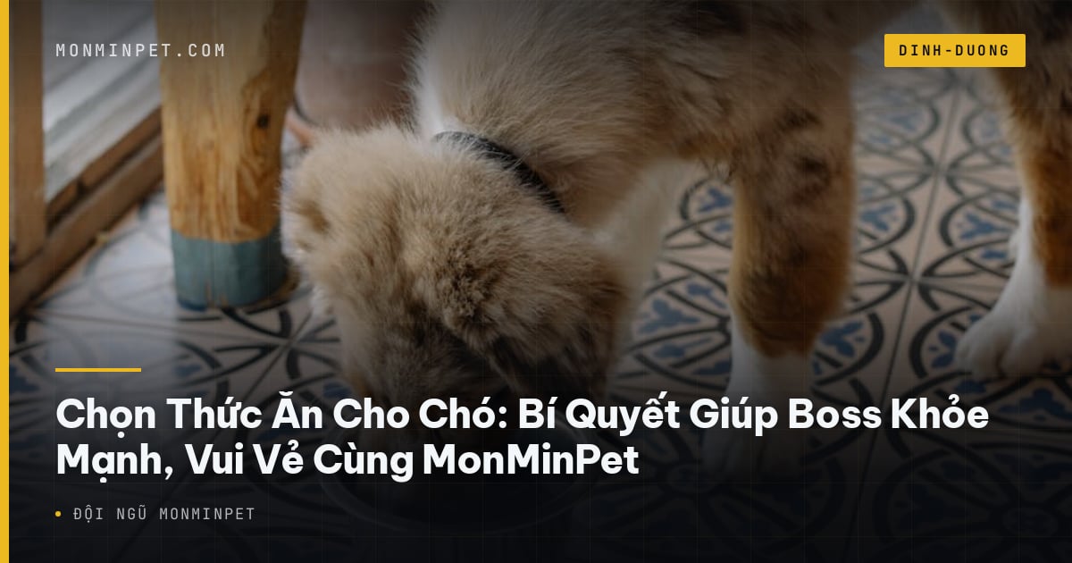 Chọn Thức Ăn Cho Chó: Bí Quyết Giúp Boss Khỏe Mạnh