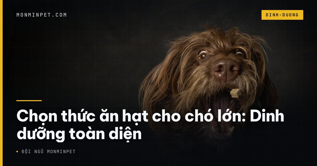 Chọn thức ăn hạt cho chó lớn: Dinh dưỡng toàn diện