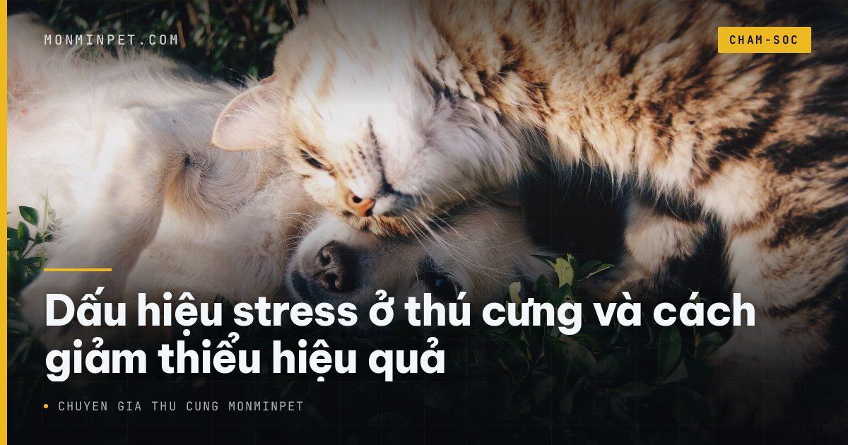 Dấu hiệu stress ở thú cưng và cách giảm thiểu hiệu quả