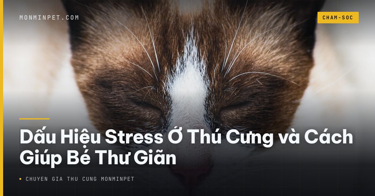 Dấu Hiệu Stress Ở Thú Cưng và Cách Giúp Bé Thư Giãn