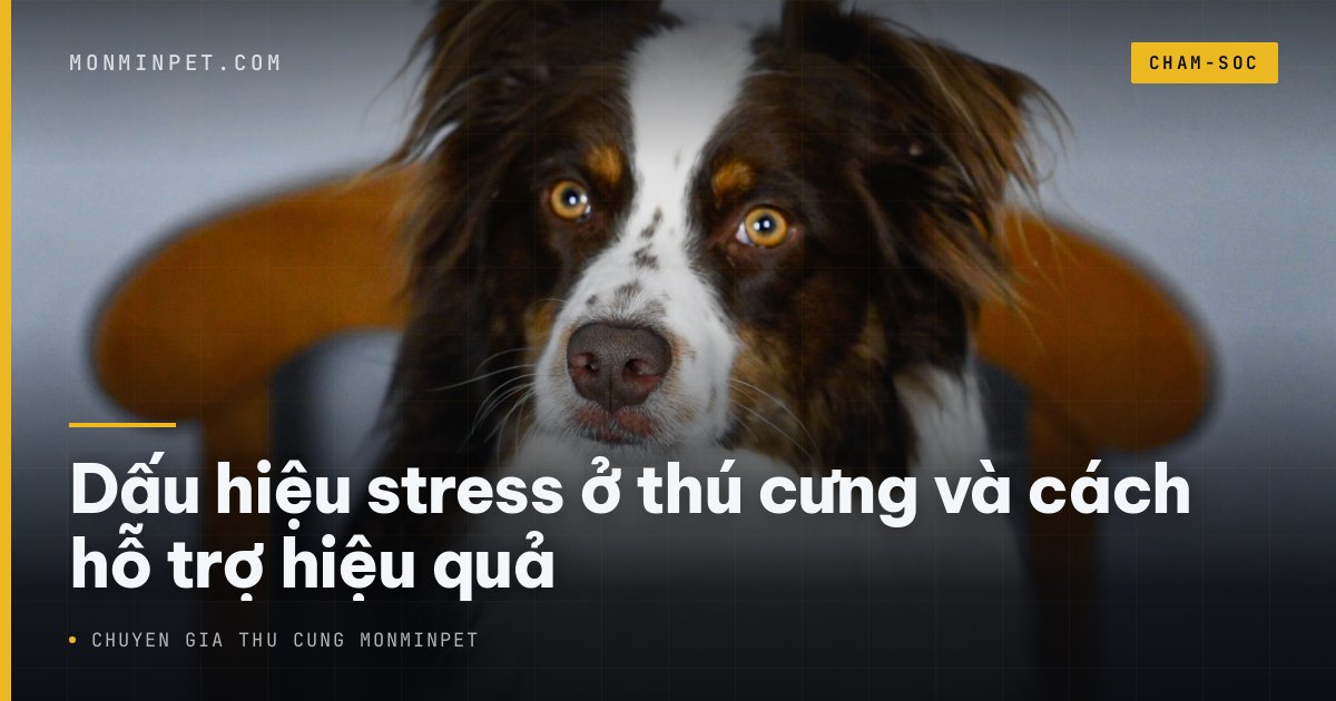 Dấu hiệu stress ở thú cưng và cách hỗ trợ hiệu quả