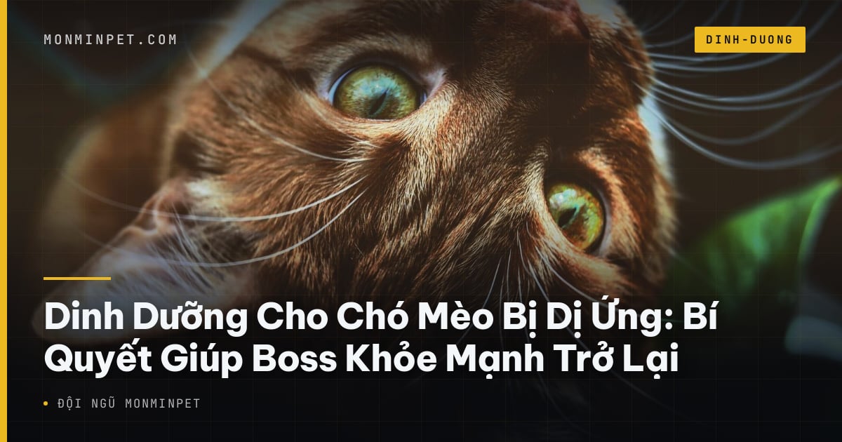 Dinh Dưỡng Cho Chó Mèo Bị Dị Ứng: Bí Quyết Giúp Boss Khỏe