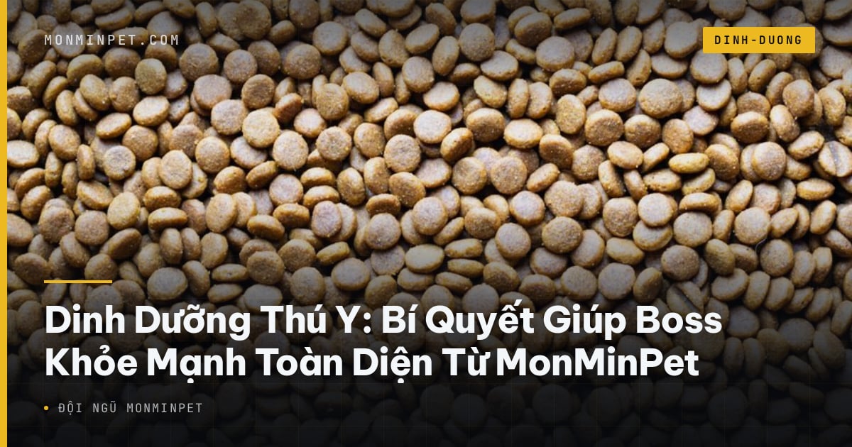 Dinh Dưỡng Thú Y: Bí Quyết Giúp Boss Khỏe Mạnh Toàn Diện