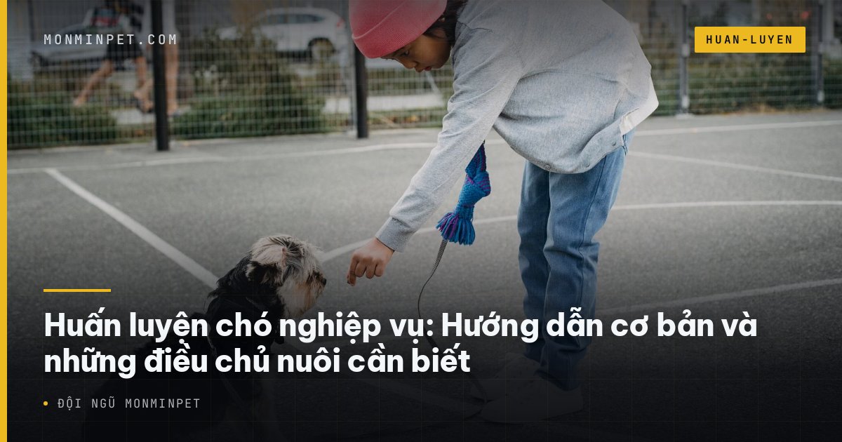 Huấn luyện chó nghiệp vụ: Hướng dẫn cơ bản cho người nuôi