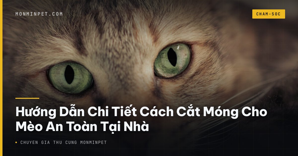 Hướng Dẫn Chi Tiết Cách Cắt Móng Cho Mèo An Toàn Tại Nhà