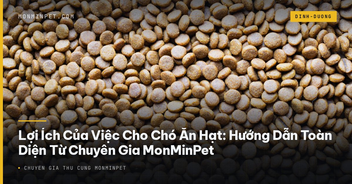 Lợi Ích Của Việc Cho Chó Ăn Hạt: Hướng Dẫn Toàn Diện