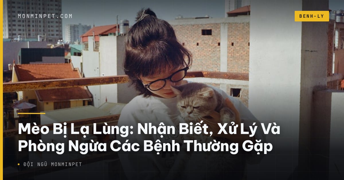 Mèo Bị Lạ Lùng: Nhận Biết, Xử Lý Và Phòng Ngừa Các Bệnh