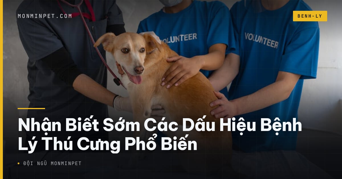 Nhận Biết Sớm Các Dấu Hiệu Bệnh Lý Thú Cưng Phổ Biến