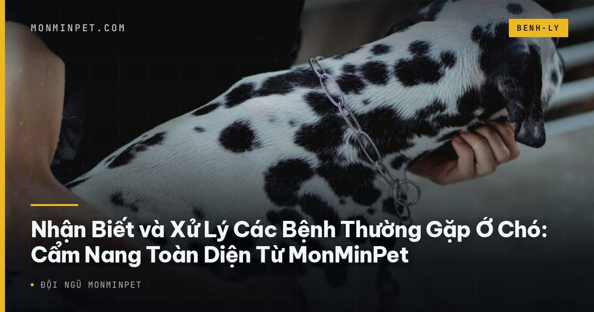 Nhận Biết và Xử Lý Các Bệnh Thường Gặp Ở Chó: Cẩm Nang Toàn