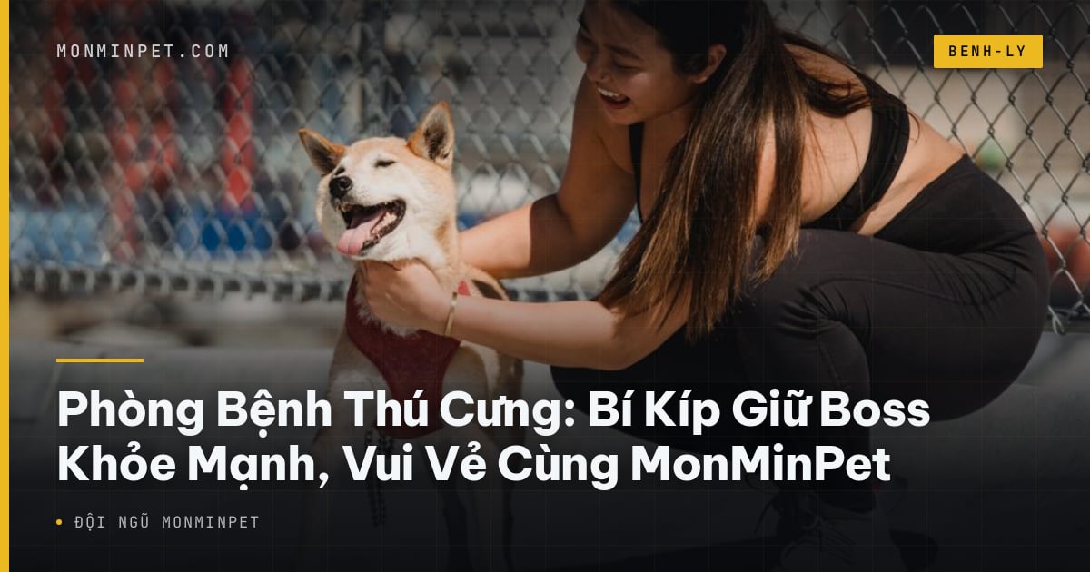 Phòng Bệnh Thú Cưng: Bí Kíp Giữ Boss Khỏe Mạnh