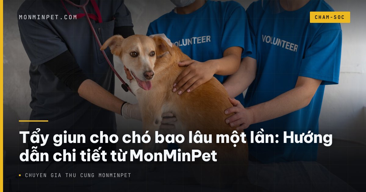 Tẩy giun cho chó bao lâu một lần: Hướng dẫn chi tiết