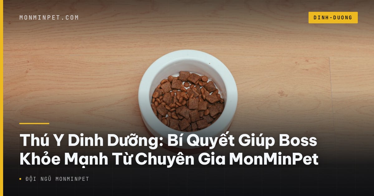 Thú Y Dinh Dưỡng: Bí Quyết Giúp Boss Khỏe Mạnh Từ Chuyên Gia