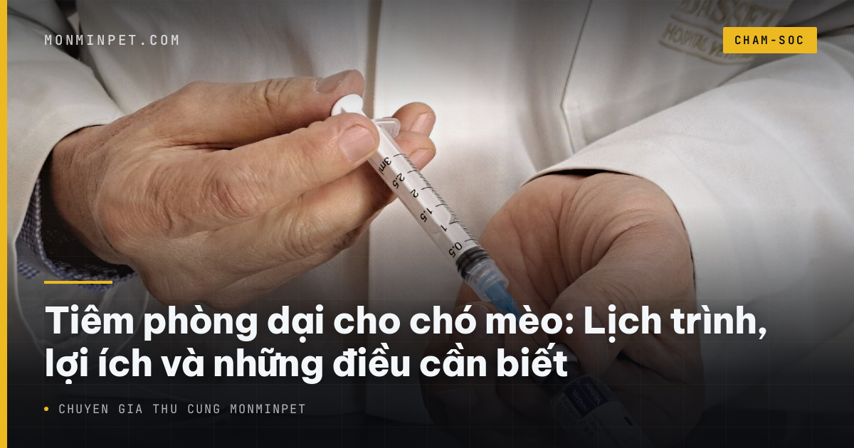 Tiêm phòng dại cho chó mèo: Lịch trình, lợi ích và những điều cần biết