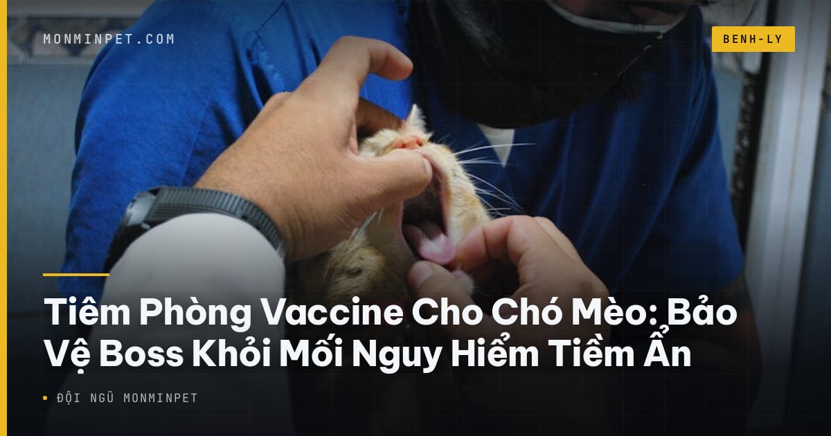 Tiêm Phòng Vaccine Cho Chó Mèo: Bảo Vệ Boss Khỏi Mối Nguy