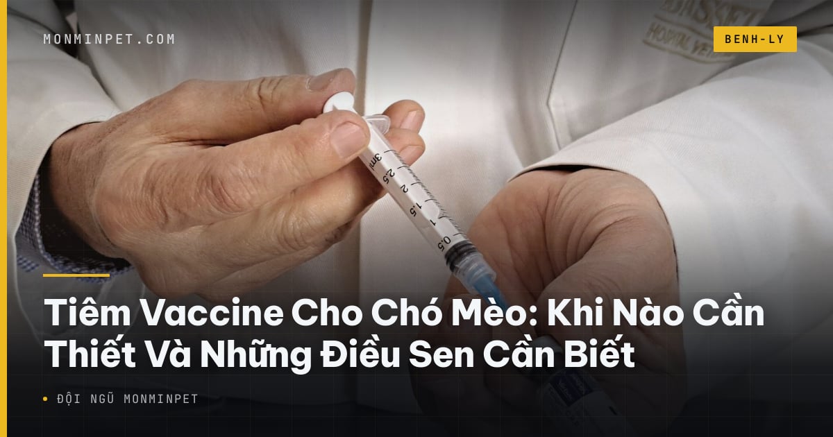 Tiêm Vaccine Cho Chó Mèo: Khi Nào Cần Thiết Và Những Điều