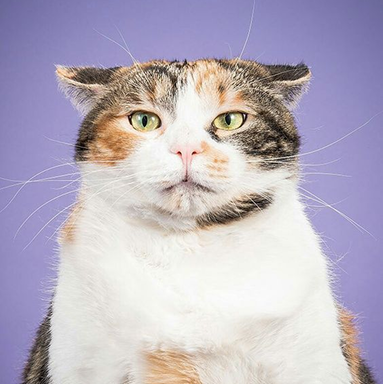 Editorial portrait — Monminpet hero