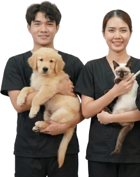 Hai thành viên đội ngũ MonMinPet bế chó Golden và mèo Xiêm