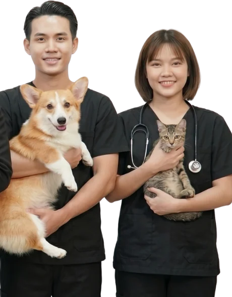 Hai thành viên đội ngũ MonMinPet bế chó Corgi và mèo mướp