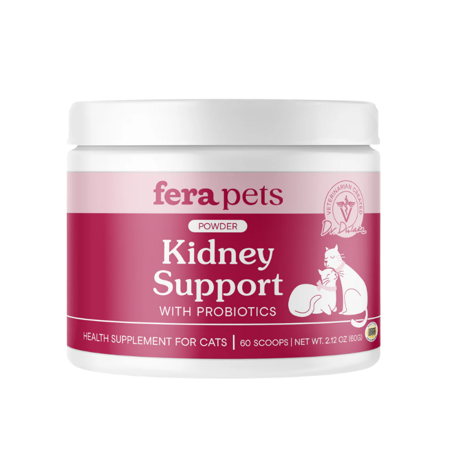 Fera Kidney (mèo)