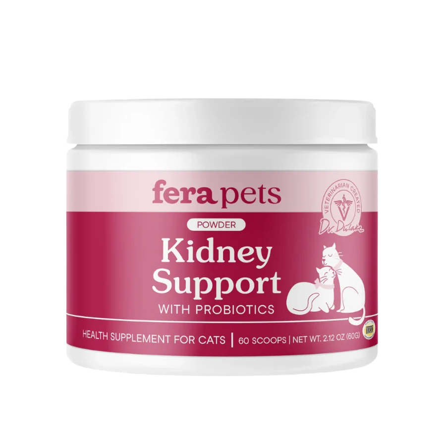Fera Kidney (mèo)