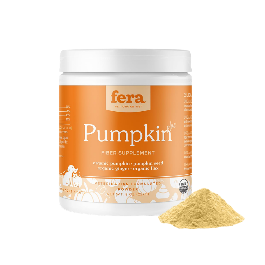 Fera Pumpkin