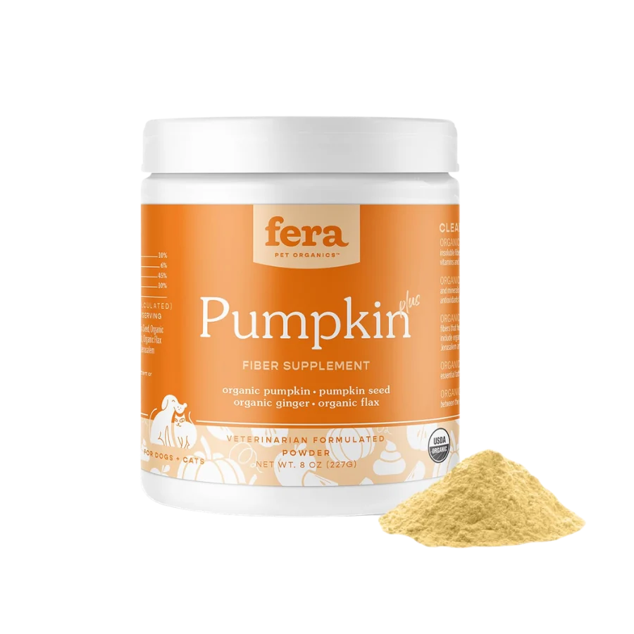 Fera Pumpkin