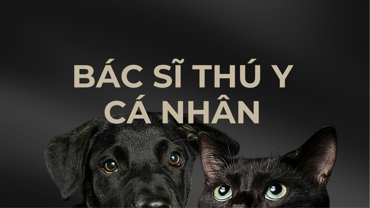 VetCoach — bác sĩ thú y cá nhân cho chó mèo